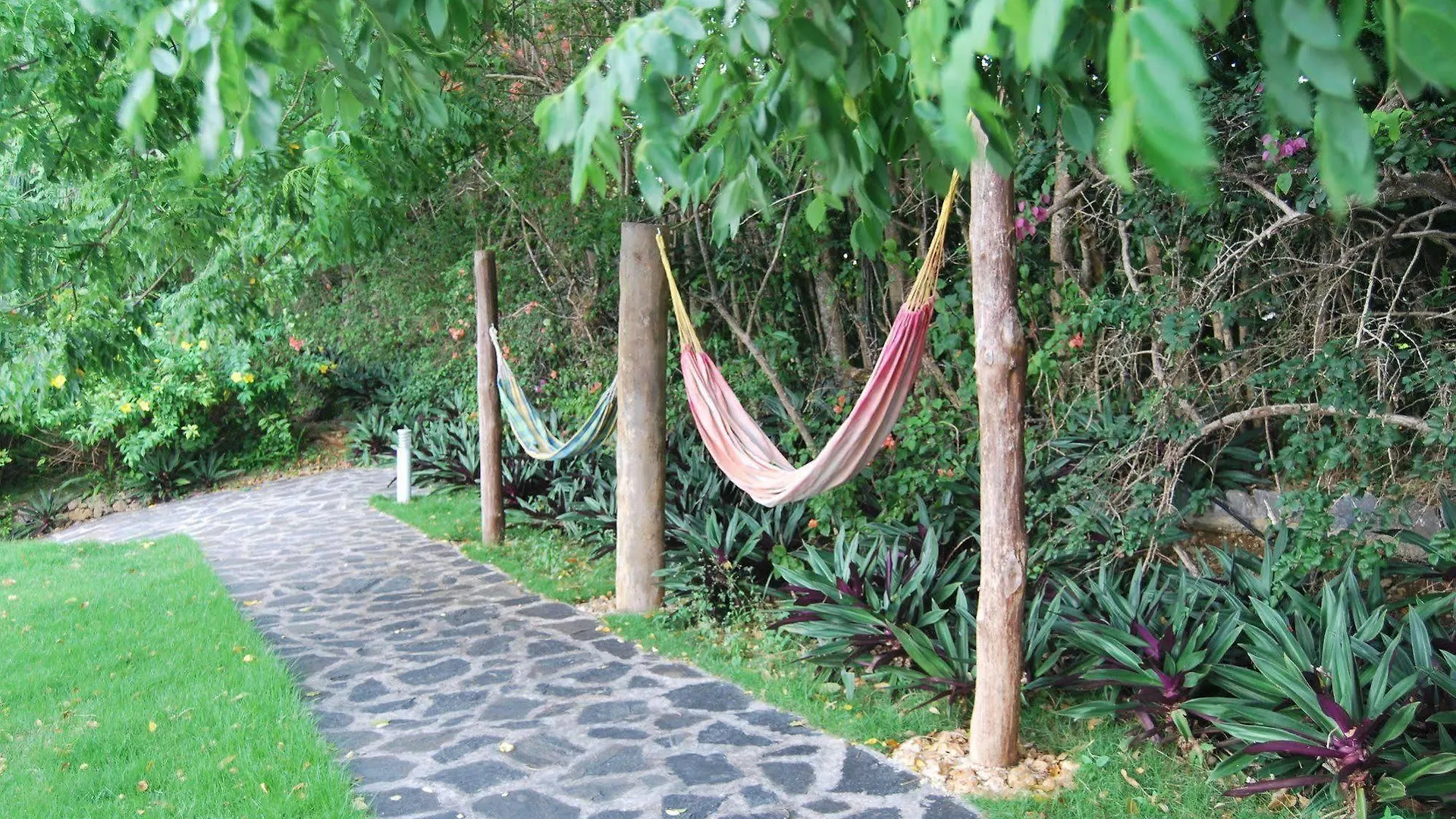 Clave Verde Ecolodge Las Terrenas 0*,