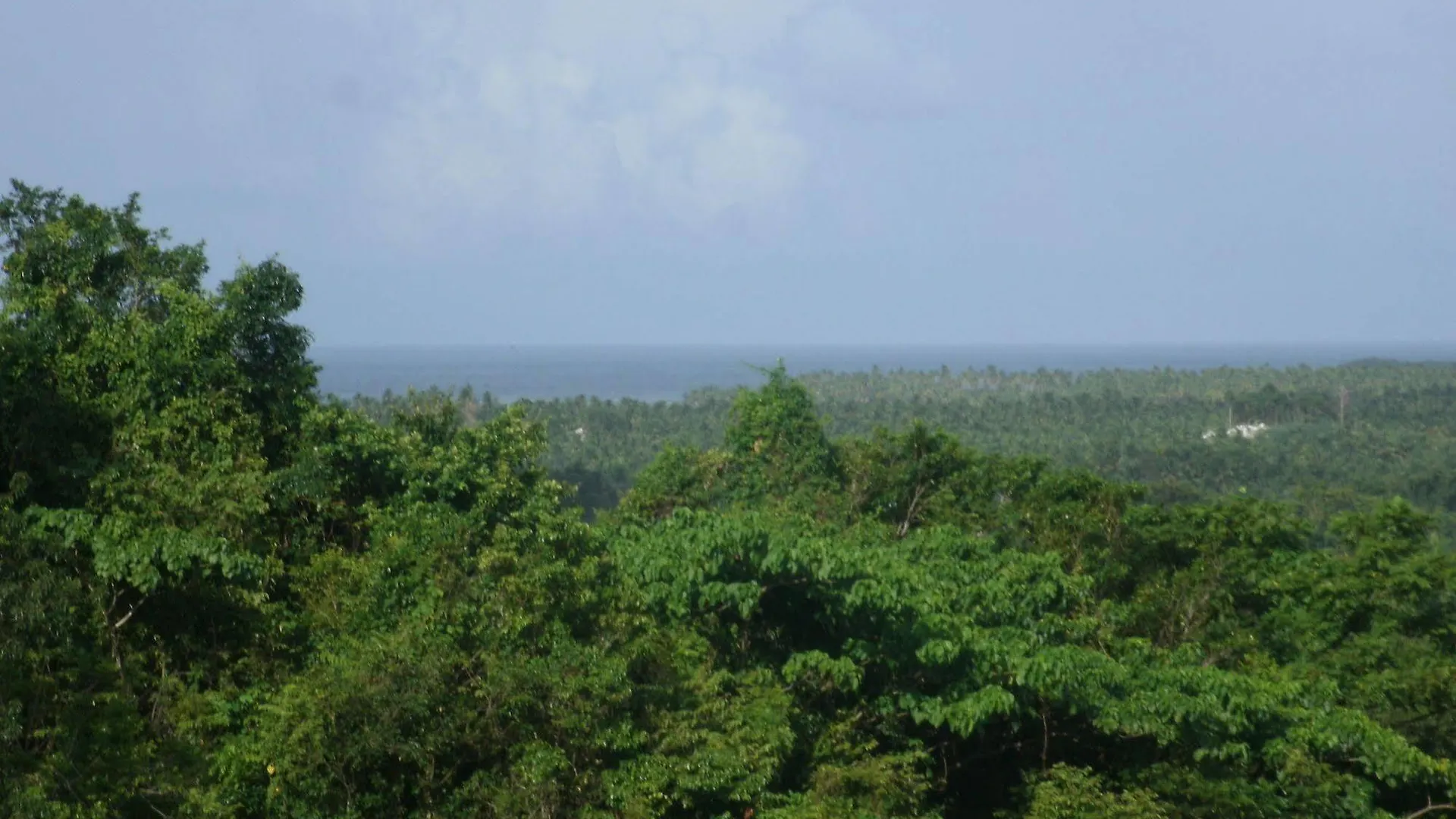 Lodge Clave Verde Ecolodge Las Terrenas Dominican Republic
